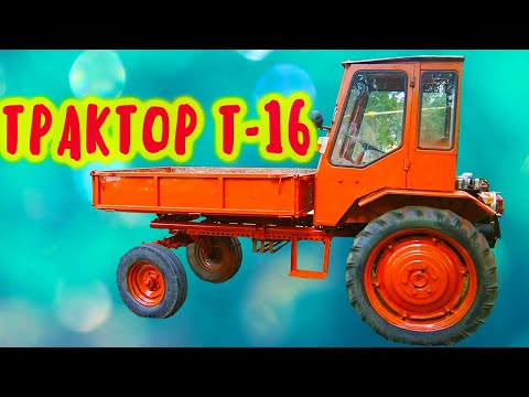 Видео: Трактор  Попрашайка Т 16