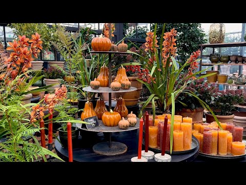 Видео: 🍂🍁 Невероятно Красивые Скандинавские Идеи Осеннего Декора от Стокгольмской Оранжереи
