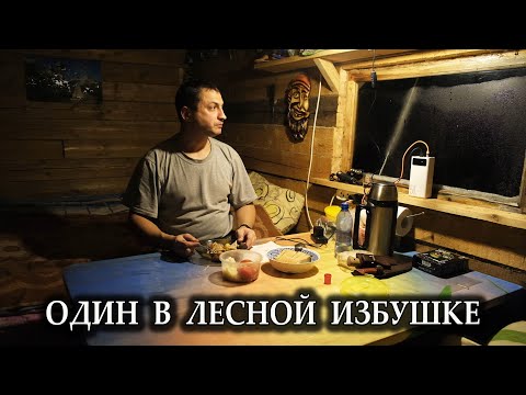 Видео: ОДИН В ТАЙГЕ \ ТАКОЕ ВЫ НЕ ЕЛИ НИКОГДА \ ДИКАРЮ В ЛЕСНОМ ЖИЛИЩЕ \ #УСТАИЧ #ВЛЕСУ