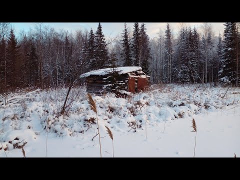 Видео: СТАВИМ СЕТИ у СТАРОЙ ИЗБЫ. УСТАНОВКА СЕТЕЙ под ЛЁД с ПОМОЩЬЮ ТОРПЕДЫ. Часть первая.