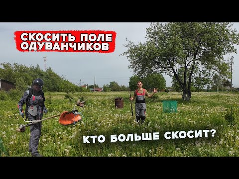 Видео: Как быстро скосить поле одуванчиков? / Вилы шоу 1