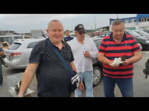 Видео: Ярмарка голубей Минск 28 июля 2024 г.Pigeon Fair Minsk July 28, 2024