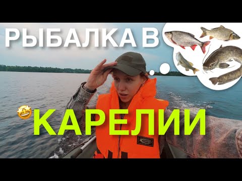 Видео: КАНИКУЛЫ В КАРЕЛИИ ЧАСТЬ 2: БЕЗУДЕРЖНАЯ РЫБАЛКА