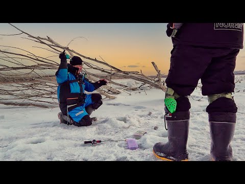 Видео: РАЗБУРИЛИ КОРЯЖНИК И ОФИГЕЛИ! Судак, лещ, окунь! СУПЕР РЫБАЛКА на вибы