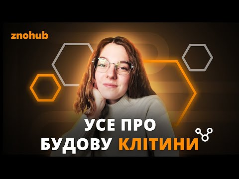 Видео: Усе про будову клітини | ZNOHUB БІОЛОГІЯ