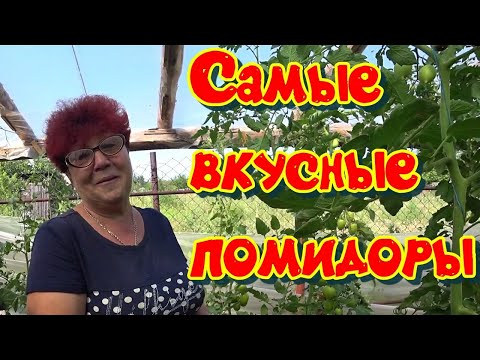 Видео: 10 самых вкусных высокорослых сортов томатов.