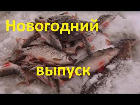 Видео: Диалоги о рыбалке - 177 - Новогодний выпуск, итоги тысячелетия.