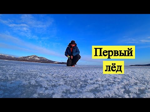 Видео: Долгожданный первый лёд! Наконец-то вырвался порыбачить