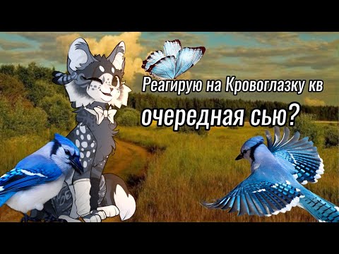 Видео: снова сью? @Krovoglazka_koroleva