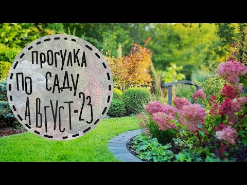 Видео: 5 Осваиваю рубанок🍀 приподнятая клумба для черешни🍀 проблемы с новыми стульями🍀 какой декор выбрать