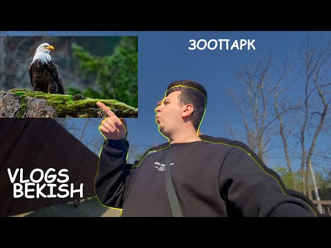 Видео: Зоопарк Владивосток