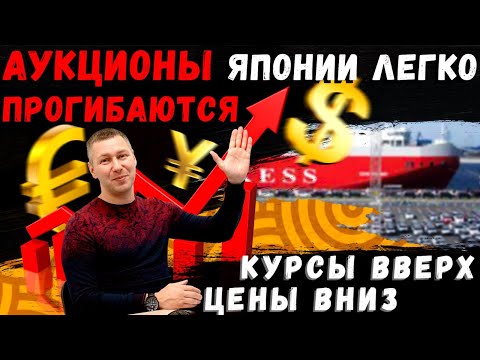 Видео: ВСЕ О ПОШЛИНЕ И УТИЛИЗАЦИОННОМ СБОРЕ 🔥 ПОЧЕМУ ЦЕНЫ НЕ ПАДАЮТ В ЯПОНИИ?💹