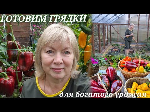 Видео: Секреты богатого урожая ГОТОВИМ ГРЯДКИ с осени Сею сидераты. СУПЕР-ПЕРЕЦ ЗАГОТОВКИ