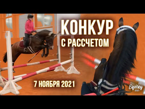 Видео: НЕ УПАЛА во время ОТКАЗА ЛОШАДИ ПРЫГАТЬ? | 7 ноября 2021 | GoPro