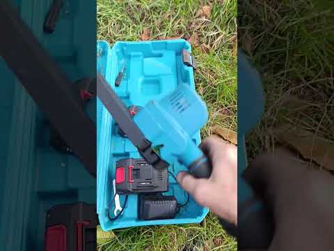 Видео: 3 ноября 2025 г.