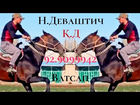 Видео: Аспи фурӯши 92.9099942 ватсап