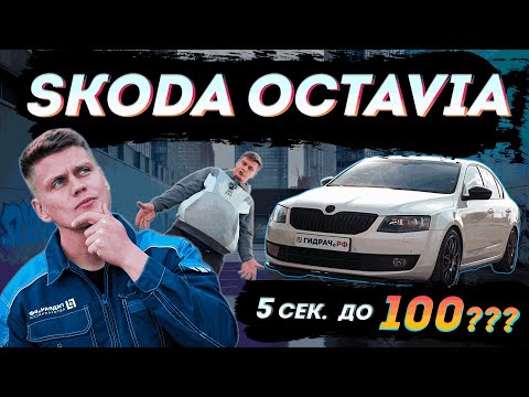 Видео: Skoda Octavia A7 Для кого ОНА Плюсы и минусы