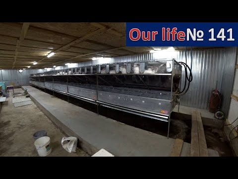 Видео: Что нового на ферме?