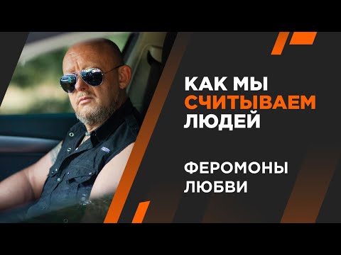 Видео: Феромоны. Как мы считываем людей. Андрей Протасеня | Архитектура Отношений