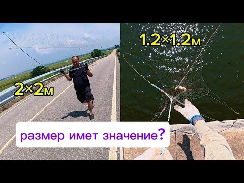 Видео: Сазан, Карась и верхогляд. Рыбалка на паук подъёмник с моста. #fishing #рыбалка #낚시 #automobile