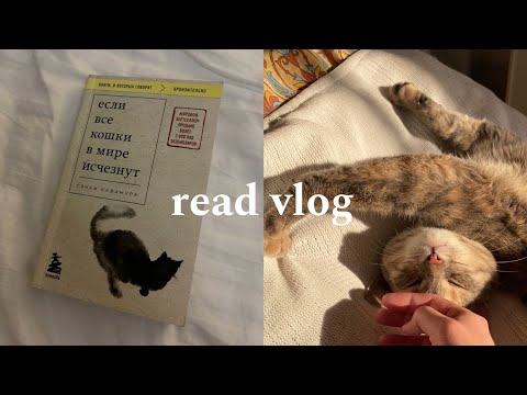 Видео: ЧИТАТЕЛЬСКИЙ ВЛОГ🐈‍⬛/ "Если все кошки в мире исчезнут"/со спойлерами!!