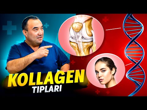 Видео: Organizmda KOLLAGEN oqsilining turlari / Организмда КОЛЛАГЕН оқсилининг турлари