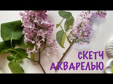 Видео: Скетч акварелью ❤️ Рисуем Сирень с натуры 🌿 Watercolor sketching