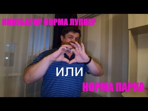 Видео: ИНКУБАТОР НОРМА ЛУППЕР ИЛИ НОРМА ПАРКА........................