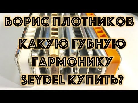 Видео: Какую губную гармошку Seydel купить