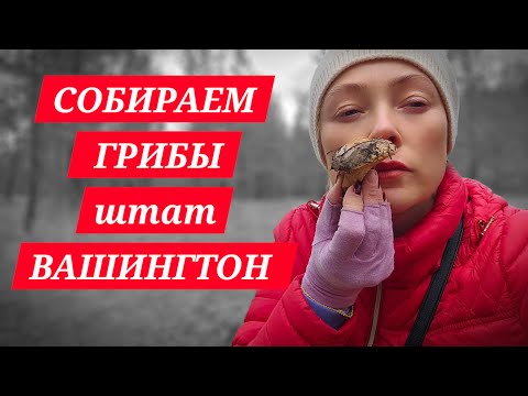 Видео: Как Я Отравилась Грибами Ядовитый Сморчок Живу в Моменте #spokanewashington #