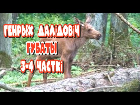 Видео: Генрых Далідовіч "Губаты" 3-4 часткi