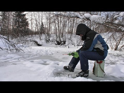 Видео: Небольшая вылазка на зимнюю рыбалку #220