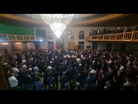 Видео: Турчи