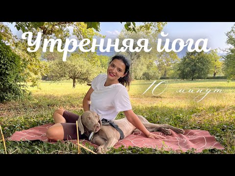 Видео: Утренняя йога за 10 минут. Бодрость, стройность, улыбка с самого утра ☀️