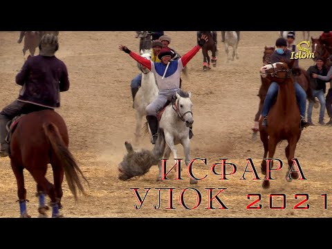 Видео: Исфара Улок Пойга дар ш Исфара 06.03.2021 Кисми 2