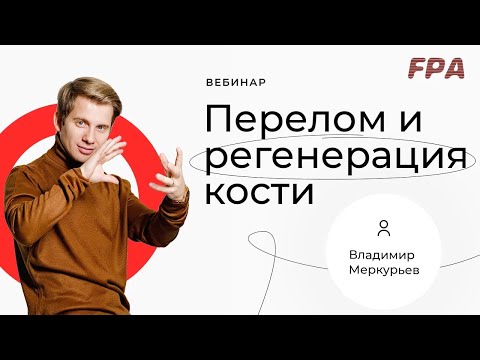 Видео: Перелом и регенерация кости | Владимир Меркурьев