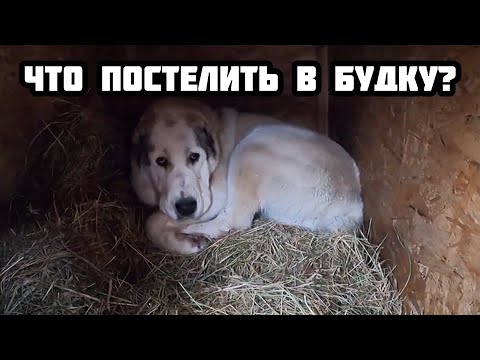 Видео: ЧТО ПОСТЕЛИТЬ СОБАКЕ В БУДКУ ЗИМОЙ ? || Сено, опилки, солома или тряпки?