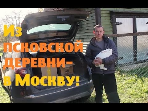 Видео: Из псковской деревни - в Москву!