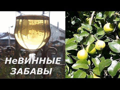 Видео: Делаем грушевый сидр в домашних условиях!