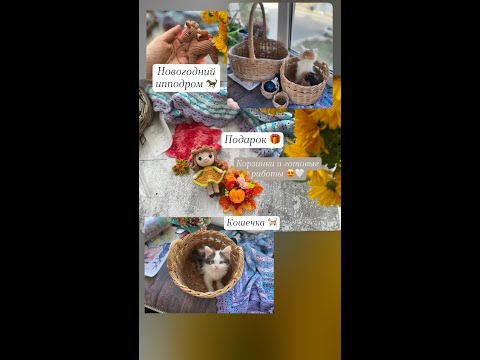 Видео: Вязальный влог/Игрушки/Корзинки Марафон #новогодний_ипподром #crochet #amigurumi #knitting #вязание