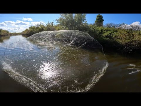 Видео: Рыбалка на осенней реке в кастинговую сеть