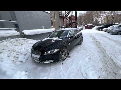 Видео: Jaguar xf кот