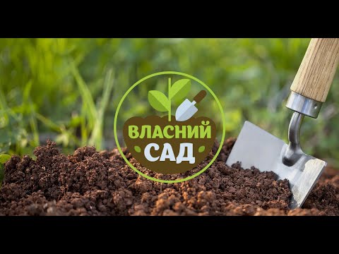 Видео: 👩‍🌾 Садів малого догляду не буває ▶ Власний сад 61 Серія ▶ 6cоток