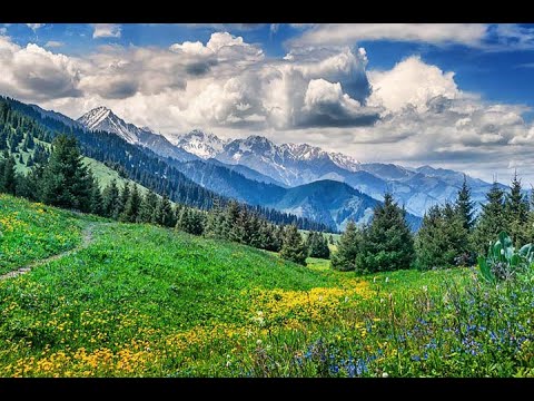 Видео: Озеро Маркаколь. Урочище Жеменей