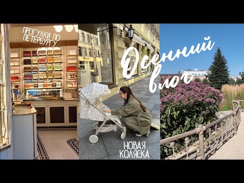 Видео: AUTUMN VLOG. СОБИРАЕМ ГРИБЫ. НОВАЯ. КОЛЯСКА ELODIE. КРУПНЫЕ ПОКУПКИ ДЛЯ НОВОРОЖДЕННОГО
