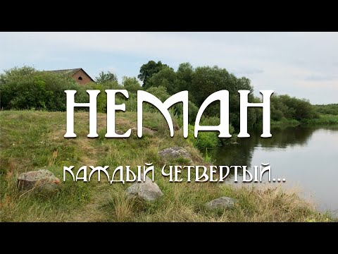Видео: 7. Неман: Каждый четвертый