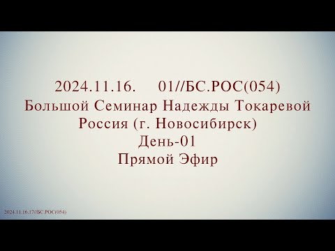 Видео: Надежда Токарева - БС_16.11.2024.Д-1 Новосибирск. Прямой Эфир