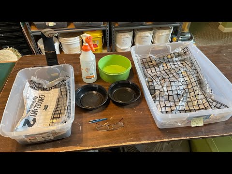 Видео: Как и зачем собирать коконы