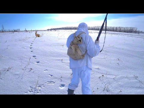 Видео: ТРОПЛЕНИЕ ГОННОГО ЗАЙЦА в сильный снег! Охота на зайца 2022