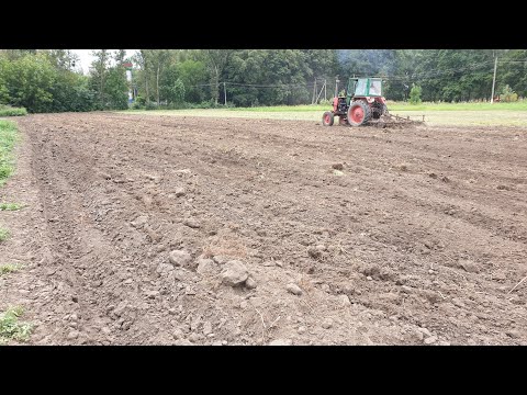 Видео: Как подготовить почву под посадку клубники.